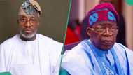 Tax bills: PDP chieftain Sowunmi mentions Tinubu's biggest mistake amid northern opposition