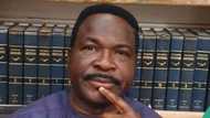 Imo election 2019: Supreme Court fines prominent lawyer, Mike Ozekhome N40 million