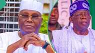 "Is this Atiku?" Nigerians react as former VP attacks President Tinubu in rare social media post