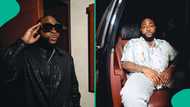 “Wiz go just dey laugh”: Davido cancels another set of shows, fans left hanging over sketchy details