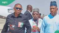 BREAKING: 'How Supreme Court allegedly abandoned its responsibility', Obi speaks out after loss