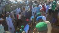 Borno Killings: UN confirms death of over 110 rice farmers