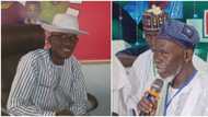 Anger as Lamidi Apapa group allegedly asks court to sack all elected Labour Party lawmakers