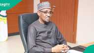 Alleged $5.5 million fraud: Fresh calls for immediate suspension of NMDPRA CEO, Ahmed emerge
