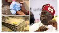 Experts predict Tinubu may reverse CBN’s new naira notes policy in his first week in office