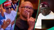 Obi says he creates wealth more than Kwankwaso, Tinubu