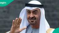 Abu Dhabi publishes website for foreigners to apply for Green Visa
