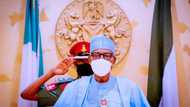 Ma’aikata sun fara salati, Gwamnatin Buhari za ta karbi aron N620bn daga asusun fansho