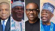 Top 10 Nigerian billionaires active in politics in 2023