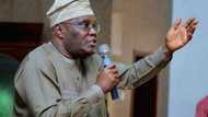 Coronavirus: Atiku reacts to Abba Kyari testing positive for COVID-19