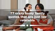 77 crazy funny family quotes that are just too relatable