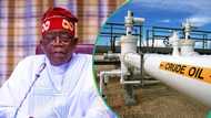 Nigeria makes over N29trn from crude oil sales in 2023, India, US among 10 biggest customers