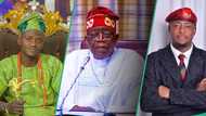 Portable demands N50m from Lege Miami to promote Tinubu in forthcoming presidential campaign