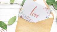 Best 7 samples of love letter to my husband