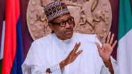 President Buhari seeks stronger international ties with Greece, Cuba