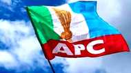 'Yan Takarar Shugaban Kasa A APC Guda 7 Sun Ki Yarda Da Sunayen Mutum 5 Da Gwamnoni Suka Mika Wa Buhari