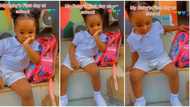 "She doesn't understand": Baby girl gets tired on her first day in school, sits mournfully in viral video