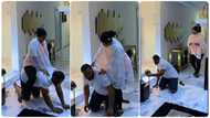 Playful wife climbs husband cleaning the living room, shows their bond and happy home in video