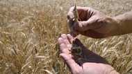 UN chief due in Turkey for Ukraine grain talks
