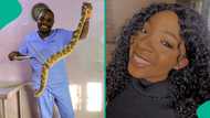 Nanyah's death: Are snakes attracted to music? Snake expert Dr Mark Ofua reacts to claim