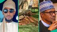 Buhari: Man shares intriguing fact about 'same spot' former president was buried