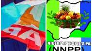 Shugabannin NNPP Da Ɗaruruwan Mambobin APC Sun Sauya Sheƙa Zuwa LP A Jiha Ɗaya Ta Arewa