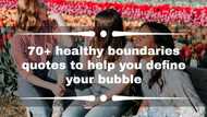 70+ healthy boundaries quotes to help you define your bubble