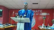 Ice-cream seller, Tomato vendor: Shettima apologises to Osinbajo, Lawan