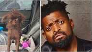 What a striking resemblance: Haggard dog that looks like Basketmouth stirs commotion online, comedian reacts