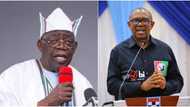 Again, Peter Obi speaks on his plans to challenge Tinubu’s victory, expresses confidence in Judiciary