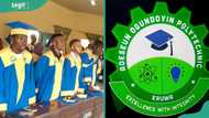 Adeseun Ogundoyin Polytechnic, Eruwa admission portal: How to apply and check admission