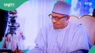 Adesina: Buhari could have been long dead if he had used Nigerian hospitals