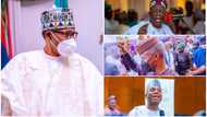 Between Tinubu, Osinbajo, Amaechi: Powerful APC governor reveals what Buhari will do before primary