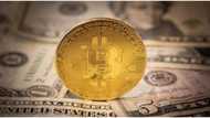 Bitcoin creator, Satoshi Nakamoto, joins list of 20 richest people on earth