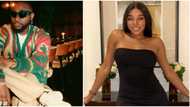 Davido’s alleged French baby mama gives update on reported pregnancy, Nigerians react: "She no carry anything"