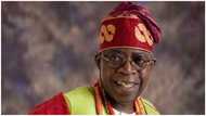 2023 Presidency: 300 Southwest monarchs declare support for Tinubu, says campaign coordinator