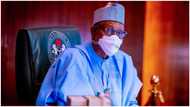 Buhari to Nigerian youths: Education is not an automatic ticket to government jobs