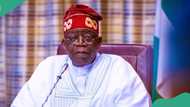 Hardship: Nigerian lawmakers send strong warning message to Tinubu's govt, details emerge