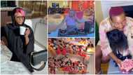 Cuppy like you’ve never seen: 6 videos, photos that takes you into the luxury world of billionaire's daughter