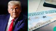 US approves over 99,000 green cards for 3 categories of applicants