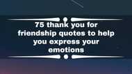 75 thank you for friendship quotes to help you express your emotions