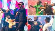 Eniola Badmus dancing to 'Fatty Bumbum', 11 other fun moments from Davido's 10 years on stage concert