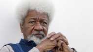 EndSARS: Ku gaggauta janye dakarun sojin ku - Soyinka ga Gwamnoni