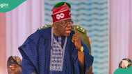 Breaking: Tinubu's govt drags 36 governors to Supreme Court, details emerge