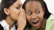 Infections - Here are 3 herbal remedies that treat staphylococcus and gonorrhea without using antibiotics