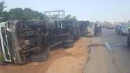 Protest as cows cause accident on Lagos-Ibadan expressway