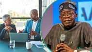 Expert speaks as Tinubu listens, suspends controversial N20m annual tax on expatriate workers