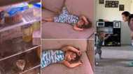 "They rolled on their heads": Twin boys give mum a tough time, other kids who messed up parents' house