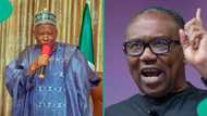 "Others should follow": Obi breaks silence after Ganduje announced resignation as APC chairman
