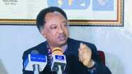 Former senator raises alarm over kidnap of Nigerian university students